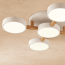 Ashane Ceiling Light