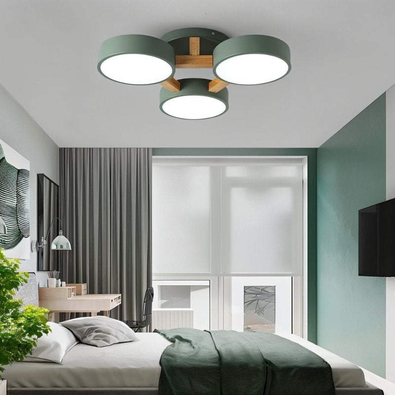 Ashane Ceiling Light