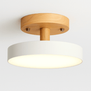 Ashane Ceiling Light