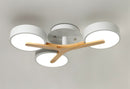 Ashane Ceiling Light