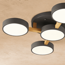 Ashane Ceiling Light