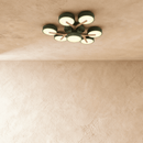 Ashane Ceiling Light