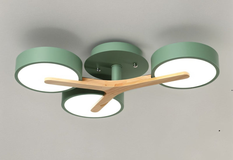 Ashane Ceiling Light