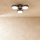 Ashane Ceiling Light