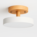 Ashane Ceiling Light