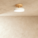 Ashane Ceiling Light