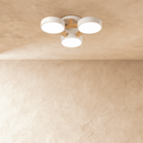 Ashane Ceiling Light