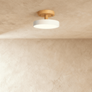 Ashane Ceiling Light