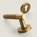 Asper Handle and Lock