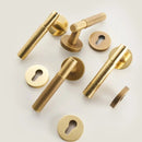 Asper Handle and Lock