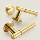 Asper Handle and Lock