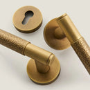 Asper Handle and Lock