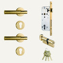 Asper Handle and Lock