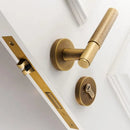 Asper Handle and Lock