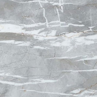 astana gray exotic marble 24x24 polished top single view