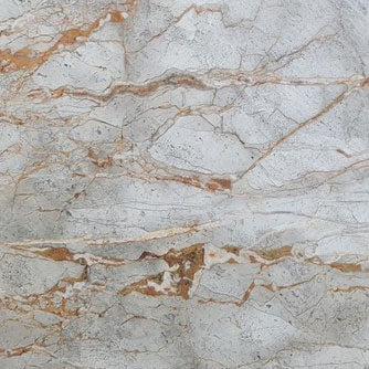 astana gray exotic marble 24x24 polished top single view