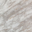 astana gray exotic marble 24x24 polished top single view