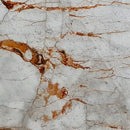 astana gray exotic marble 24x24 polished top single view