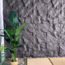 Asthene Wall Panel
