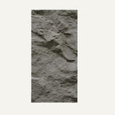 Asthene Wall Panel