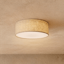 Astoria Ceiling Light