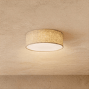 Astoria Ceiling Light