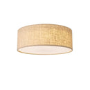 Astoria Ceiling Light