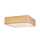 Astoria Ceiling Light