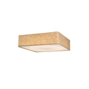 Astoria Ceiling Light