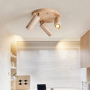 Astrivis Ceiling Light
