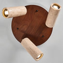 Astrivis Ceiling Light