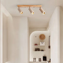 Astrivis Ceiling Light