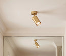 Aurea Ceiling Light