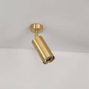 Aurea Ceiling Light