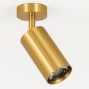 Aurea Ceiling Light