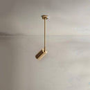 Aurea Ceiling Light