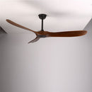 Auretta Ceiling Fan
