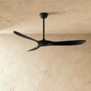 Auretta Ceiling Fan