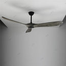 Auretta Ceiling Fan