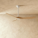 Auretta Ceiling Fan