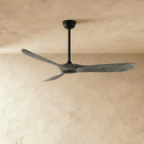 Auretta Ceiling Fan