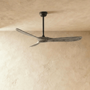 Auretta Ceiling Fan