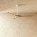 Auretta Ceiling Fan