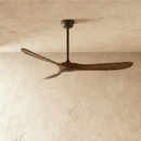 Auretta Ceiling Fan