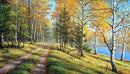 Autumn Landscape CS2606 27.6 x 15.8 inches Crafting Spark Diamond Painting Kit