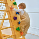 Chestnut | 8-in-1 Foldable Wooden Jungle Gym for Toddlers, Indoor or Outdoor