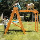 Chestnut | 8-in-1 Foldable Wooden Jungle Gym for Toddlers, Indoor or Outdoor