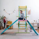 Grove | Foldable Jungle Gym - Wall Mounted
