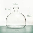 Avocado Seed Starter Hydroponic Vase