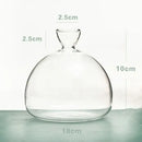 Avocado Seed Starter Hydroponic Vase